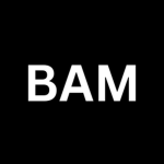 BAM FITS