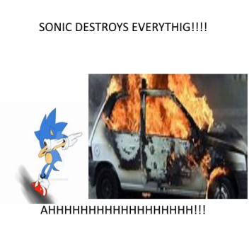 Sonic Destroys EveryThing!!!