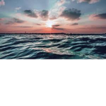 ocean vibes 123