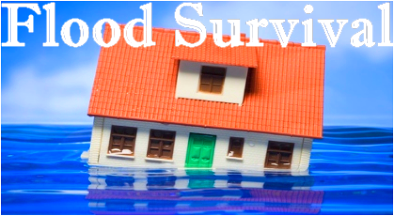 Flood Survival Waves  [Updated Wave!] screenshot 1