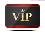 BUilder V.I.P