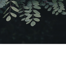 EOEOEOEO