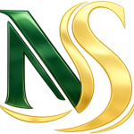 NaanSense