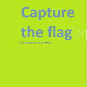 Capture the flag 3.0
