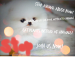 All against Animal abuse!