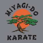 | Miyagi Do Karate |