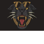 Over Dog Studio!