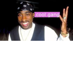 Cool gang 55