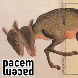 pacem homestore !