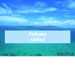 ~Pelicans United~
