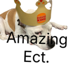 Amazing Ect.