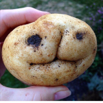 Ugly Potato Squad
