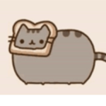(-cats-)