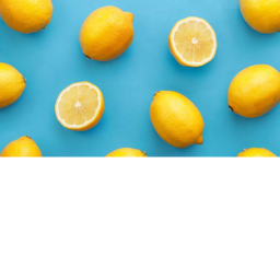 Lemon Hangout!