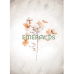 Eᴍᴇʀᴀʟᴅs