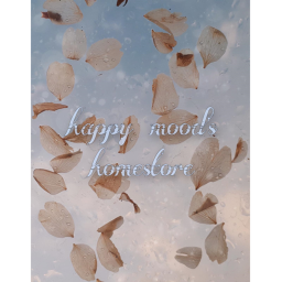 happy mood's home store