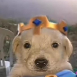 Mcpoop