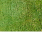Touch grass pls