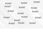 P-U-Y-A-T