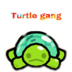 turtle group save the turtles