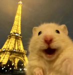 RAT LIVES MATTERS