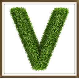 Vellum.