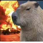 The_wormies