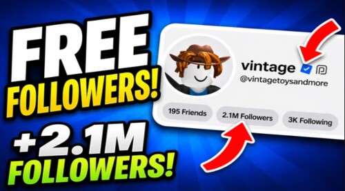Followers experience