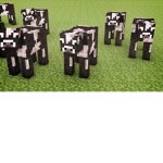 Moo fan group