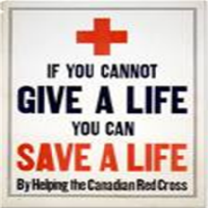 Red Cross Poster Roblox decal