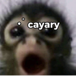 ﾟcayary