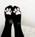 *paws* Group Thumbnail