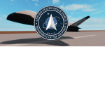 United States Space Force (U.S.S.F.)
