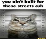 grαss gang