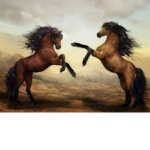 Bright horse academy