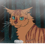 Cathook