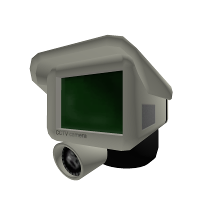cctv head