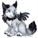 Team wolves TWO