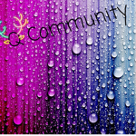 The Q Community