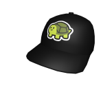 Turtle Community Hat