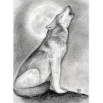 Wolf drive