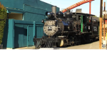 The choo choo train group