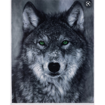 The turbo wolfs