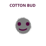Cotton Bud