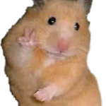 lamyu