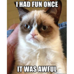 Oblivion's Grumpy Cat Group.
