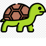 Turtle Simplicity