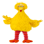 BIG Bird Studios