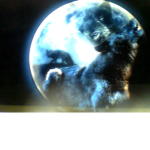 wolf Alpha Masters*