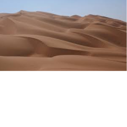 desert